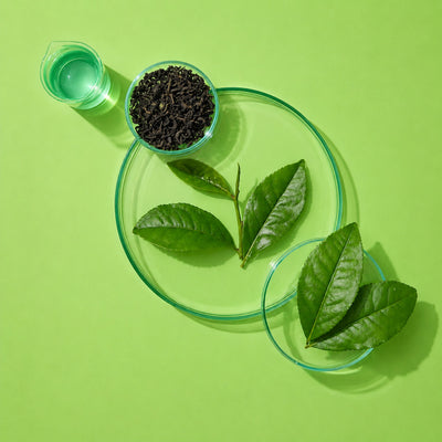 Green Tea